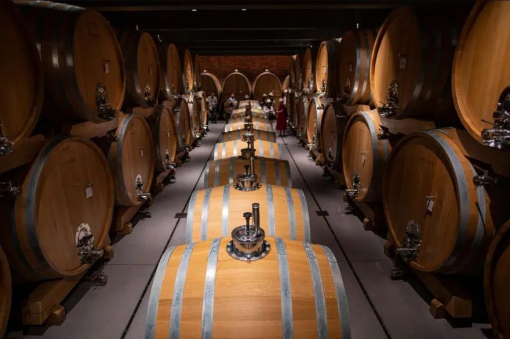 Image of a wine cellar of Enosophia Winery