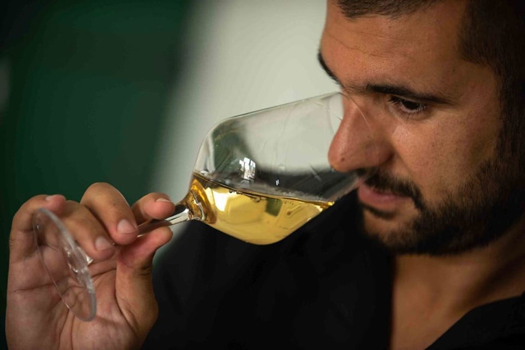 Image of a man tasting Pošip white wine