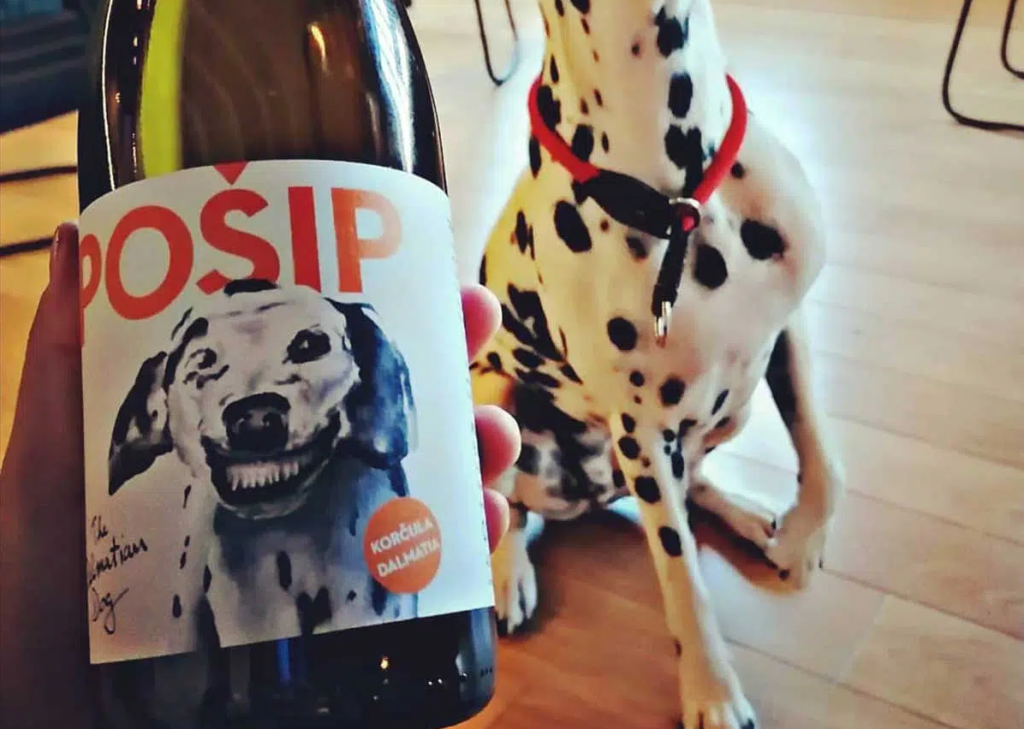Dalmatian Dog Pošip wine bottle with Dalmatian dog at the background