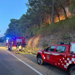 dalmatia forest fire