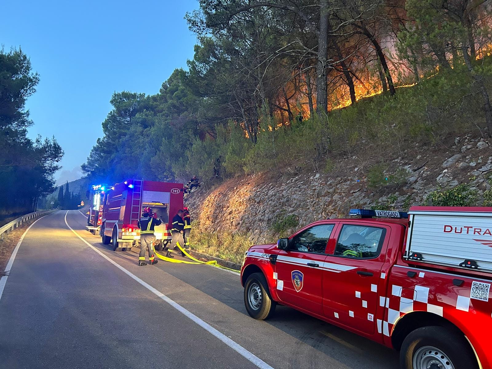 dalmatia forest fire