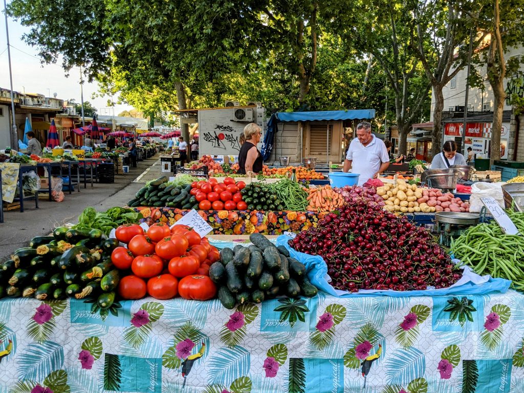 croatian agriculture sector