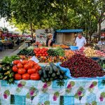 croatian agriculture sector