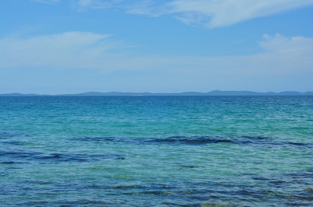 croatian-italian sea flower meadow research project