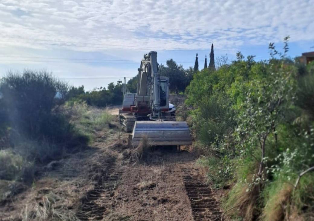 croatian roads olive grove