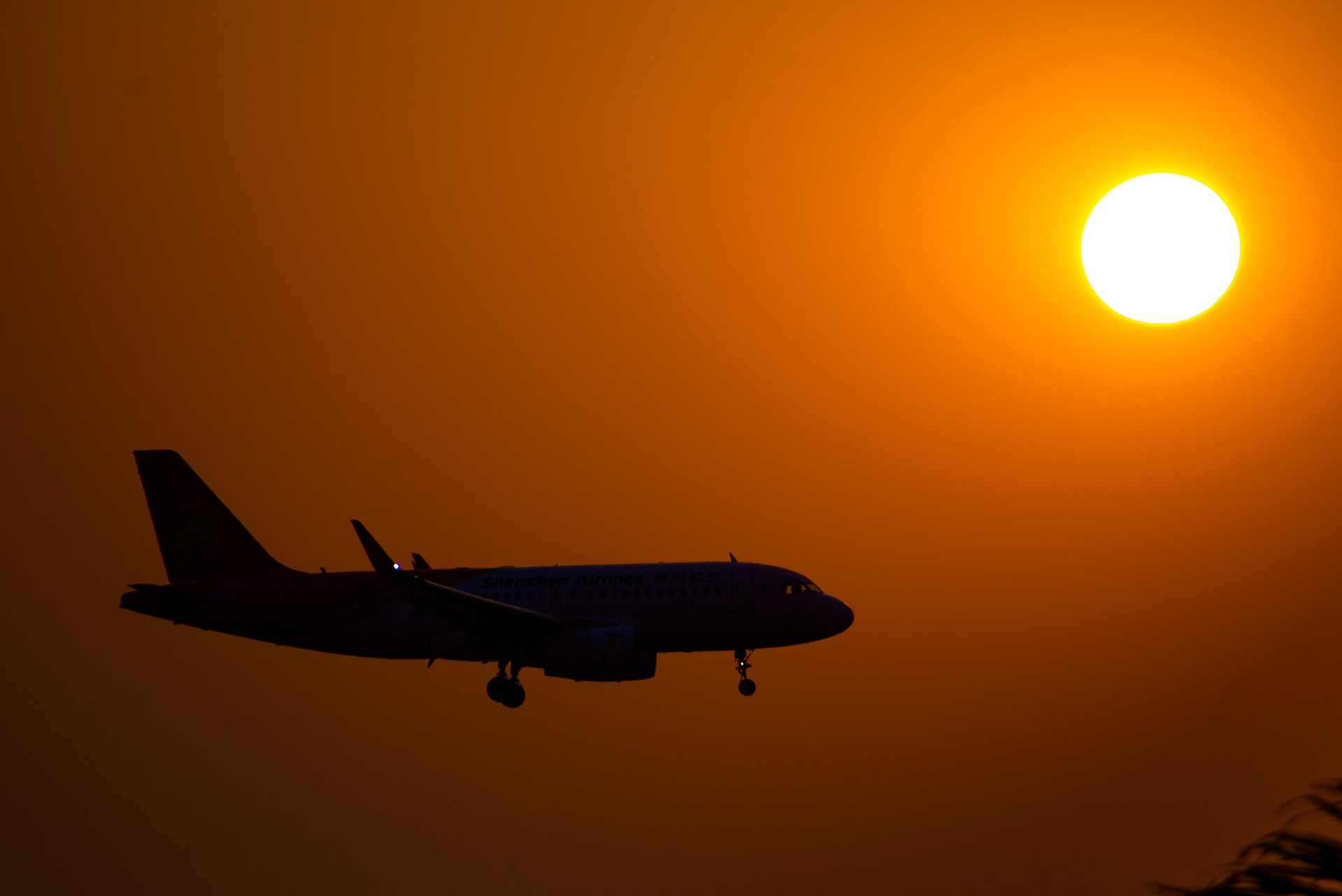 croatia airlines losses