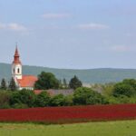 investment slavonia