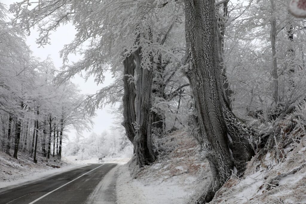 highest town in croatia