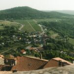 new york times istria