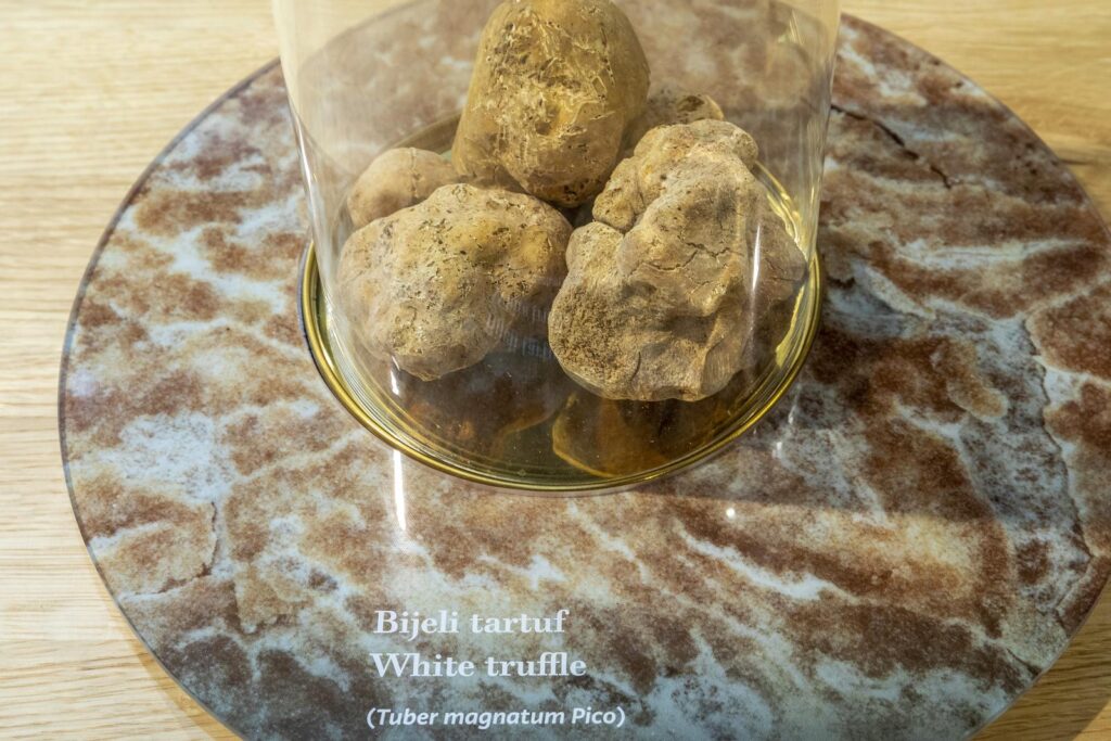 istrian truffles london