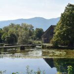 croatian river trout