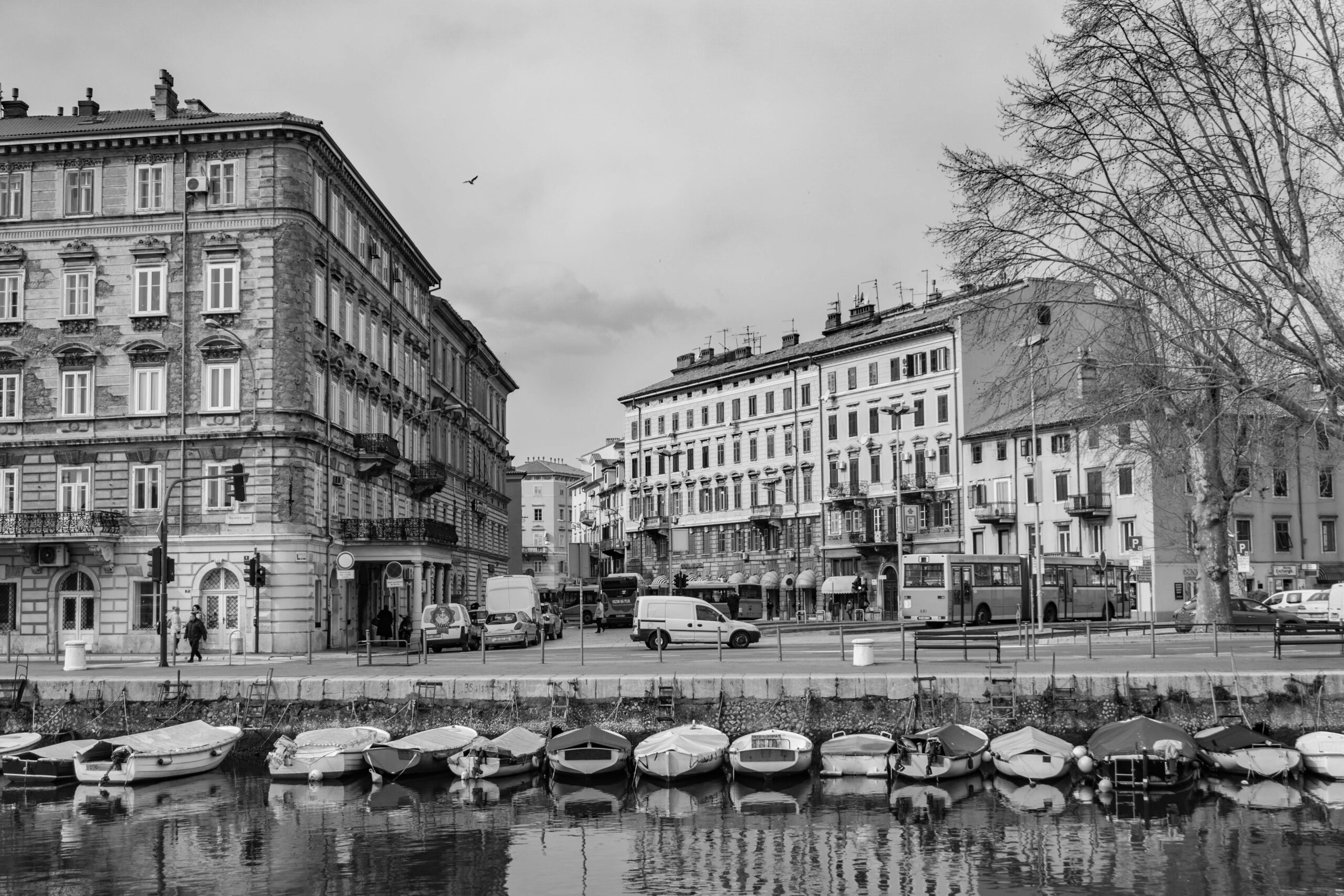 rijeka rainier london