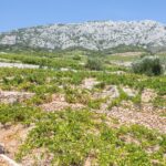 potomje croatian village