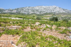 potomje croatian village