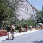 marmontova history split
