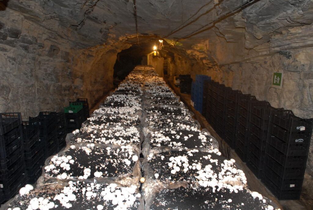 pula's underground tunnels