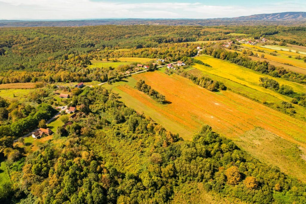 slavonia tourism food tradition