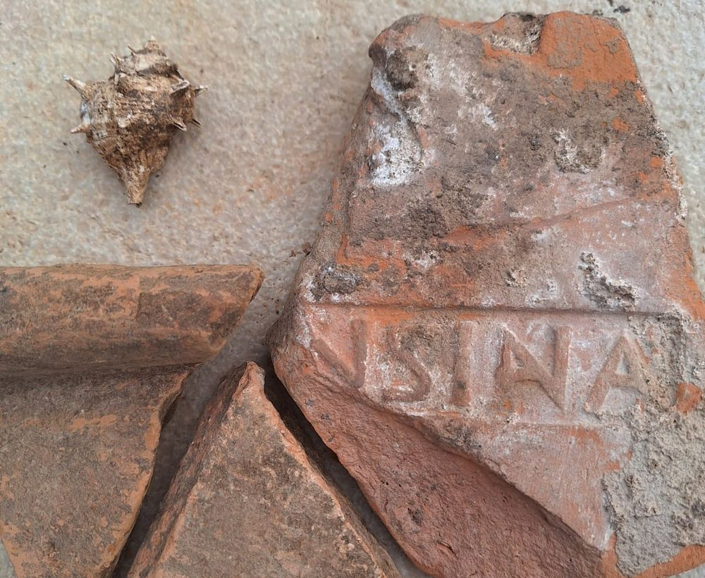 roman find near zadar