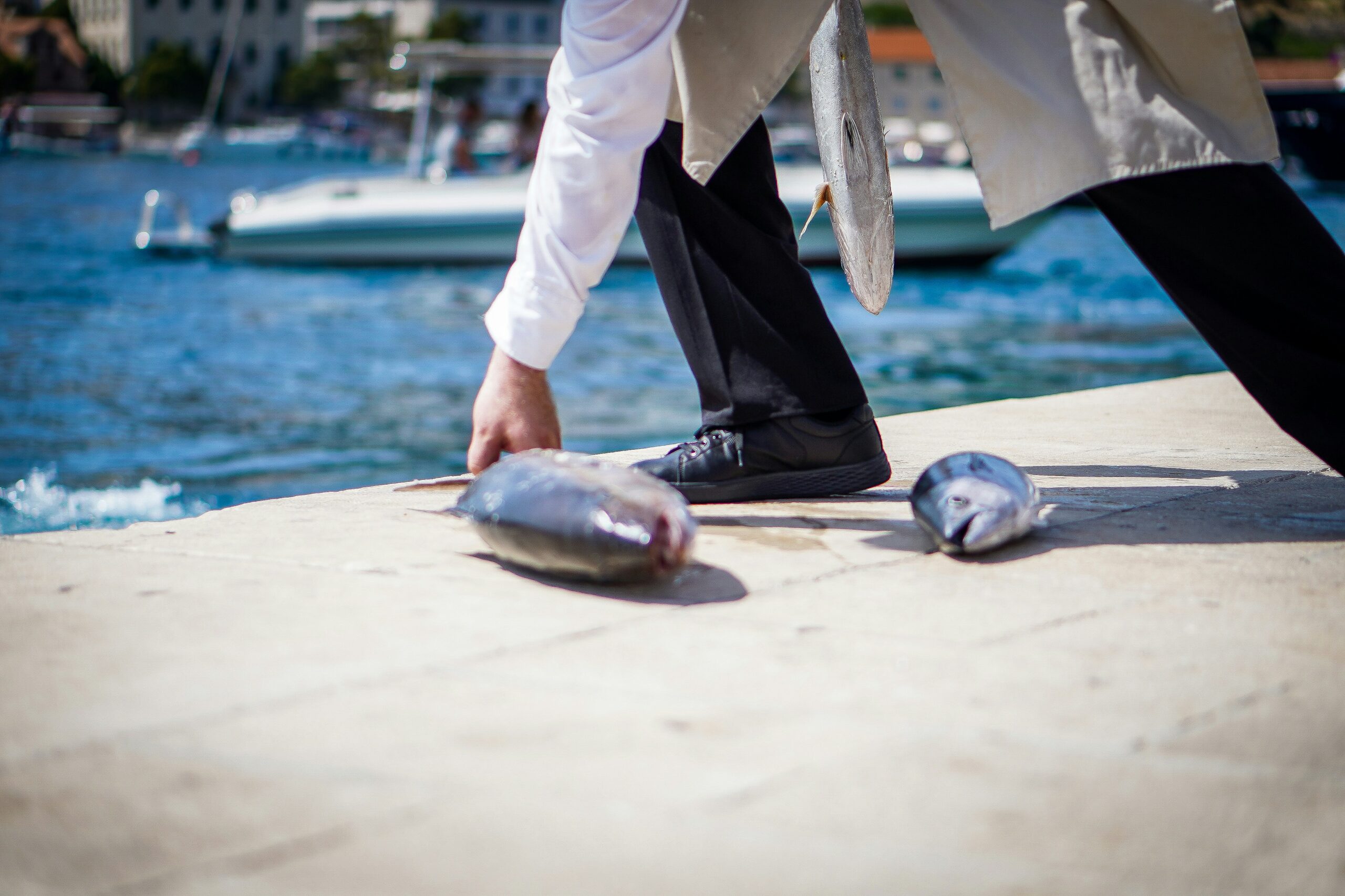 Can Croatia’s Konoba Culture Survive Modern Tourism?