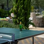 croatian alcohol culture