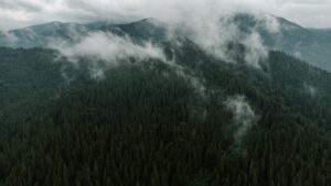 Štirovača national park