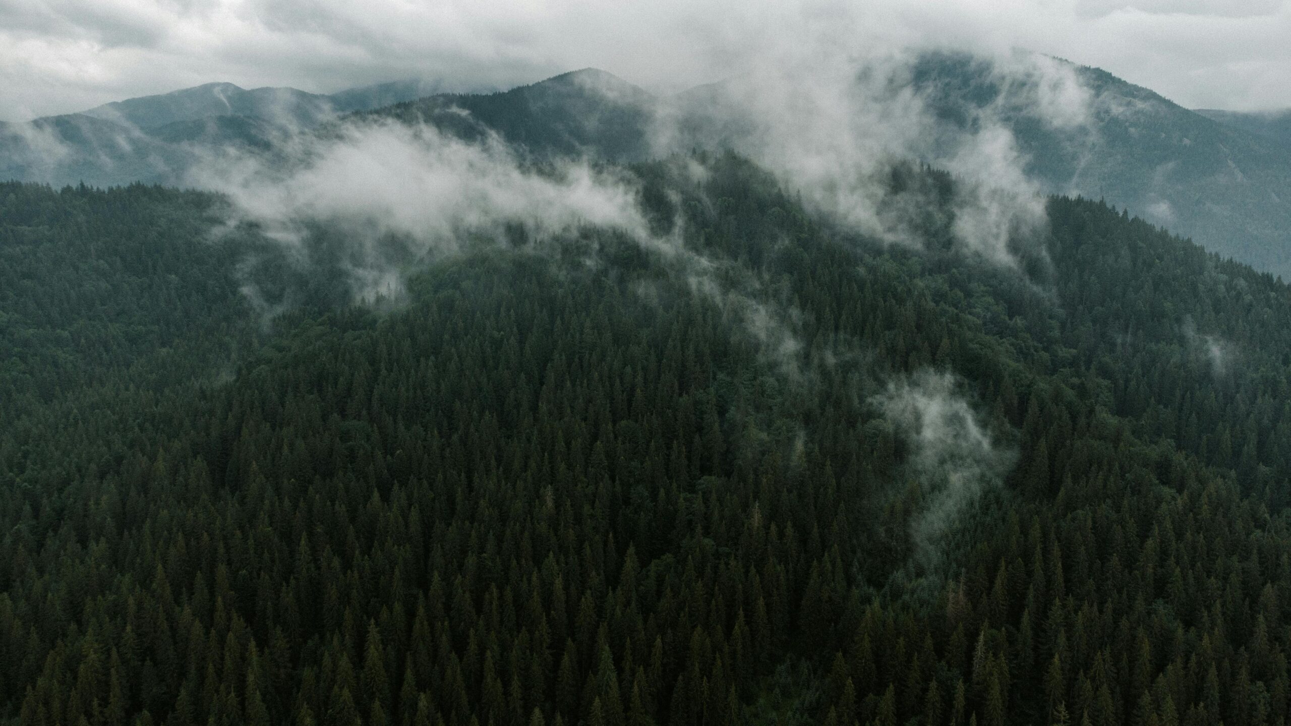 Štirovača national park