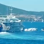 sailboat fatal collision split