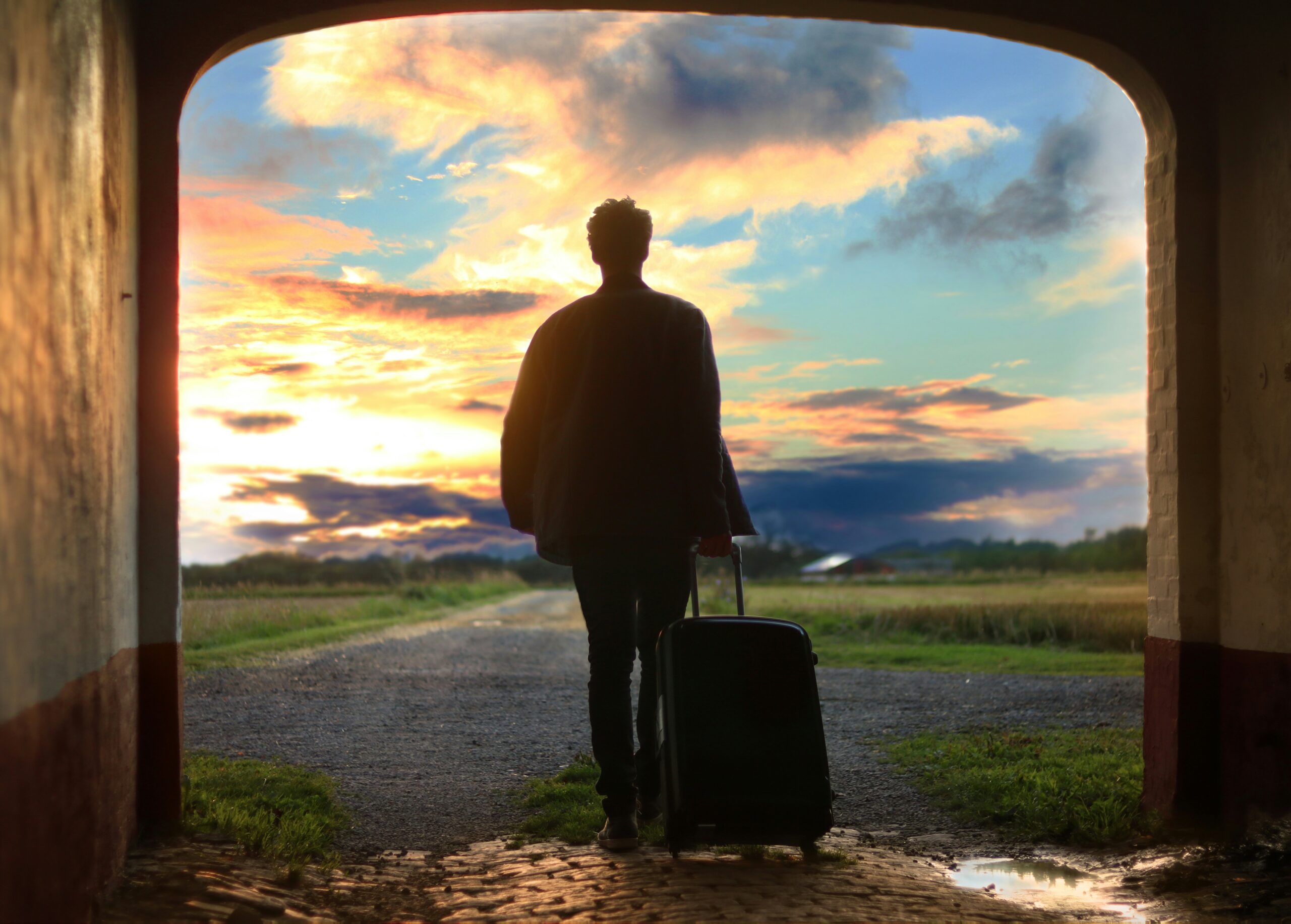 croatian brain drain