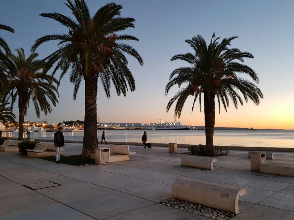 split nightlife rules