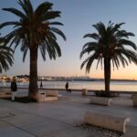 split nightlife rules