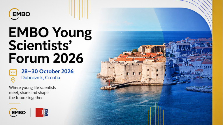 summer school dubrovnik