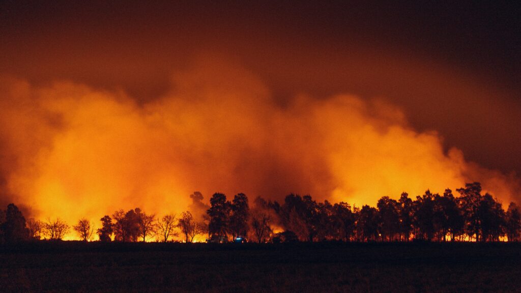 croatian firefighters bordeaux wildfire