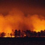 croatian firefighters bordeaux wildfire