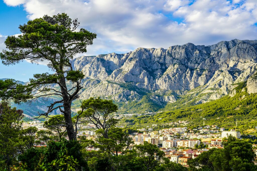 makarska alcohol sales