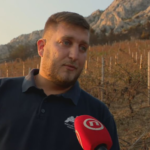 omiš wine producer