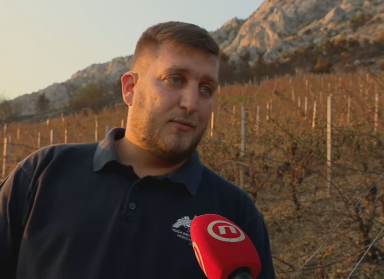 omiš wine producer