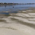 danube shipping stopped