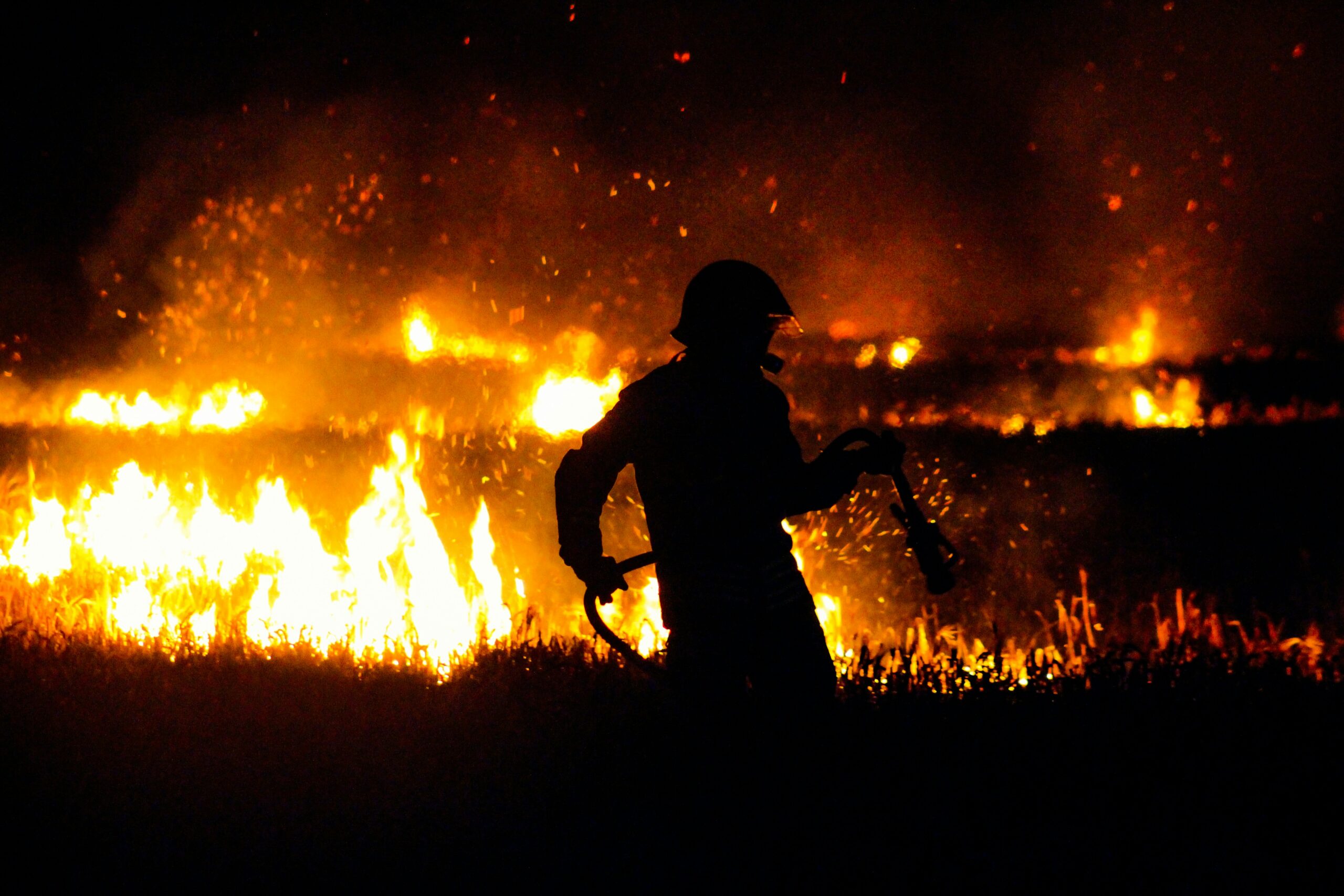 croatian forest fires