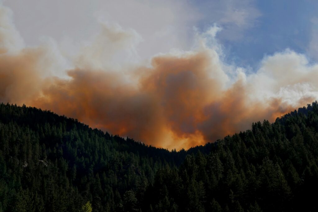 fire konavle