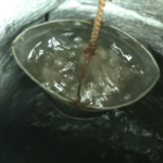 lika waste scandal