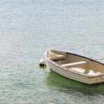 croatian population 2025