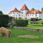 Varaždin ban alcohol