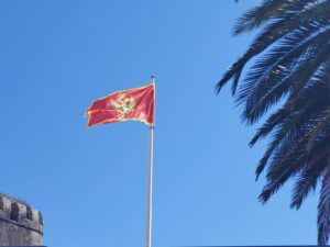 montenegro eu croatian consent
