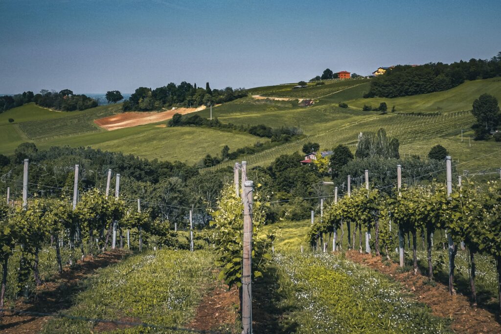 croatian wine map