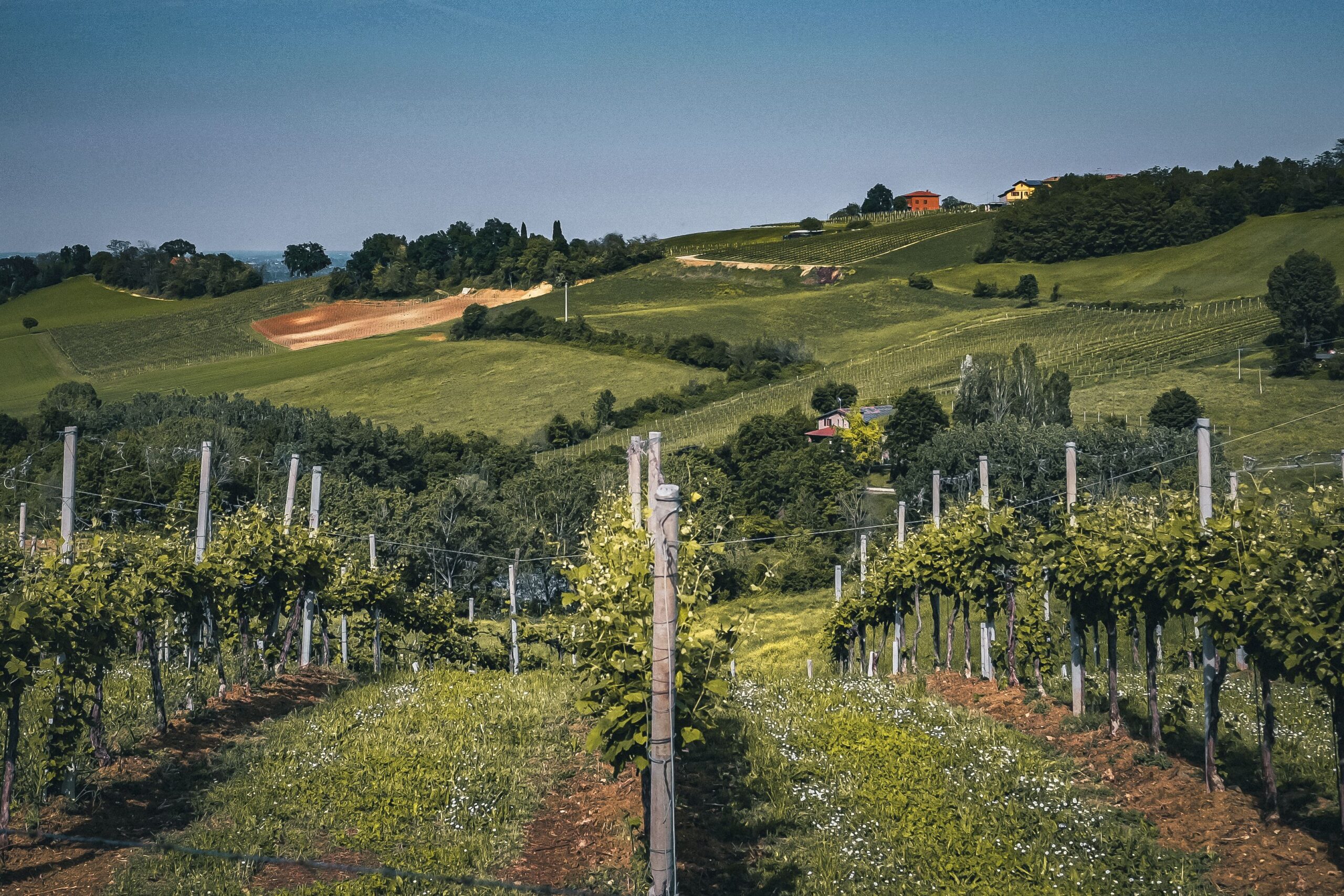 croatian wine map