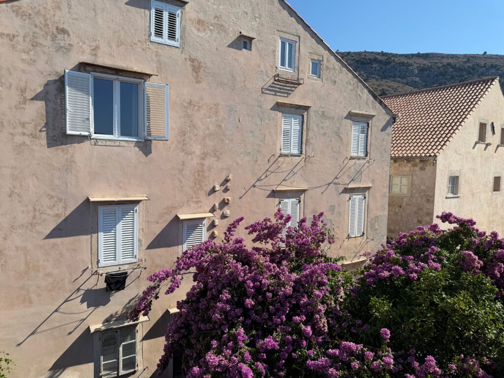 rent croatia rose