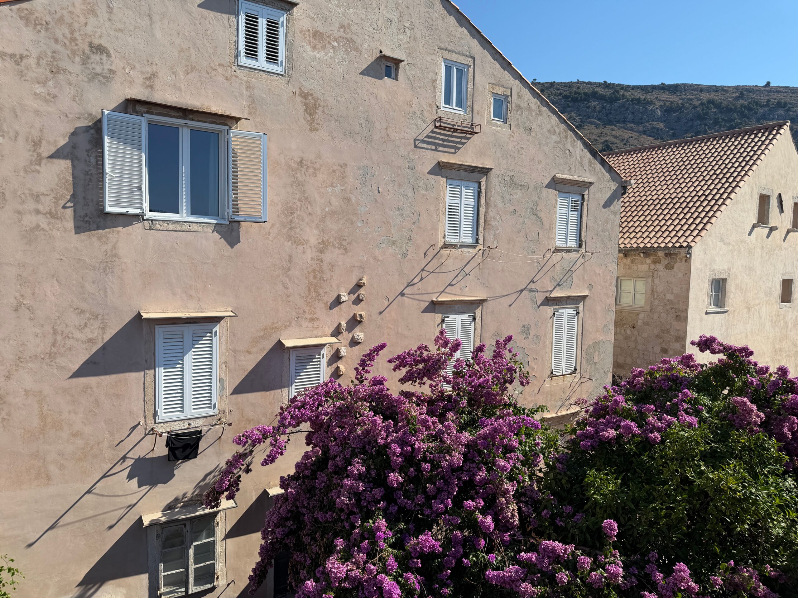 rent croatia rose