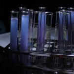 croatian subjects forever chemicals